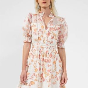 NWT French connection Diana print puff sleeve floral dress size 10